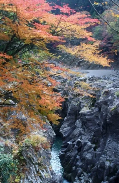 【紅葉・見ごろ】高千穂峡_1
