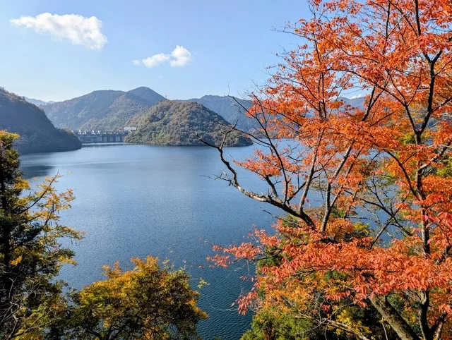 【紅葉・見ごろ】奥津湖・苫田ダム_1