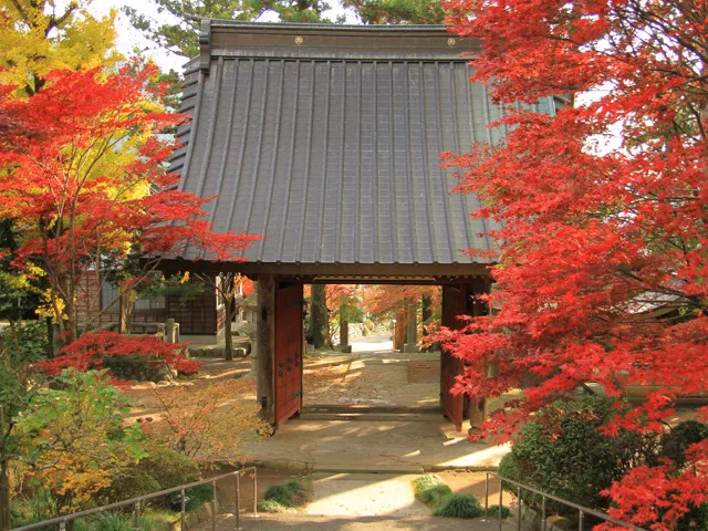 【紅葉・見ごろ】奥大井南部_1