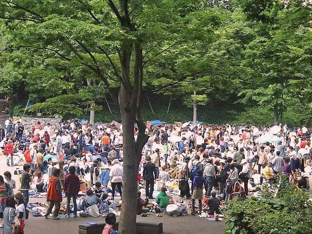 新宿中央公園ビッグフリーマーケット（6月）_1