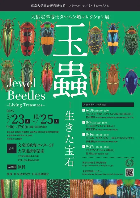 ジ*ン様 昆虫標本 30匹 タマムシ 玉蟲 －生きた宝石－
