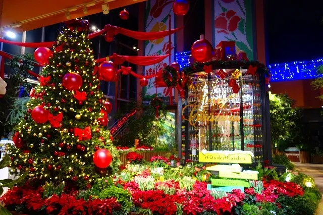 季節展示「冬の庭」クリスマス_1