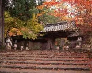 【紅葉・見ごろ】槇尾山西明寺_1