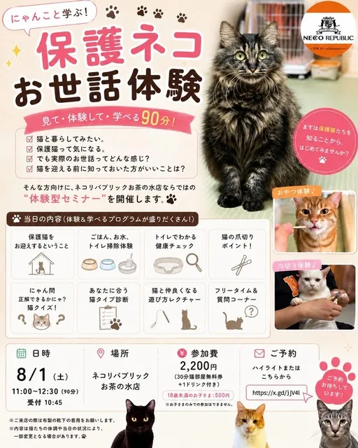 保護猫お世話体験_1