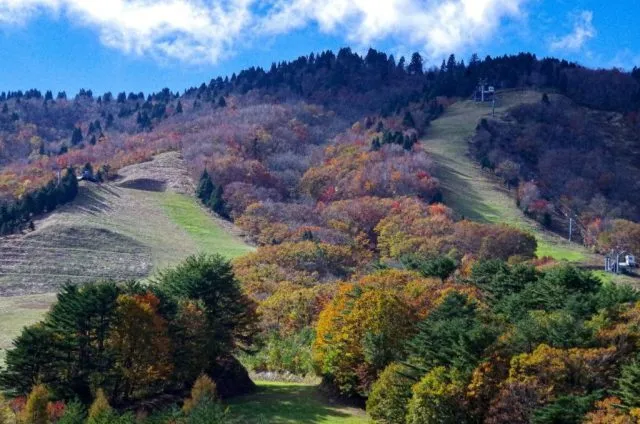 【紅葉・見ごろ】恐羅漢山_1