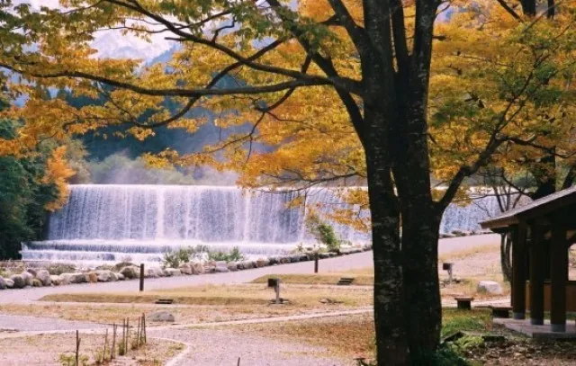 【紅葉・見ごろ】片貝山ノ守キャンプ場付近_1