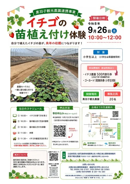 イチゴの苗植え付け体験_1