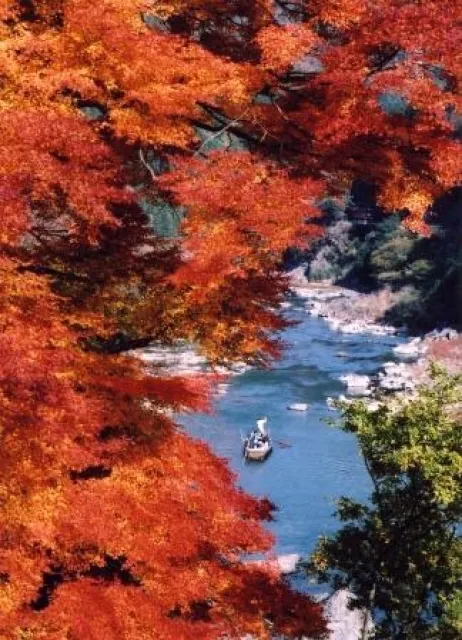 【紅葉・見ごろ】保津峡_1