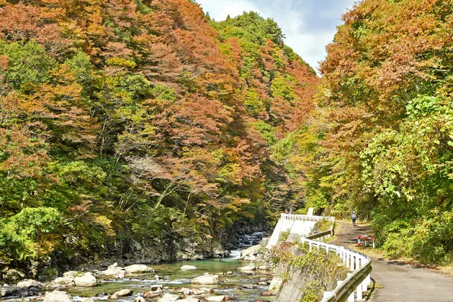【紅葉・見ごろ】岨谷峡_1