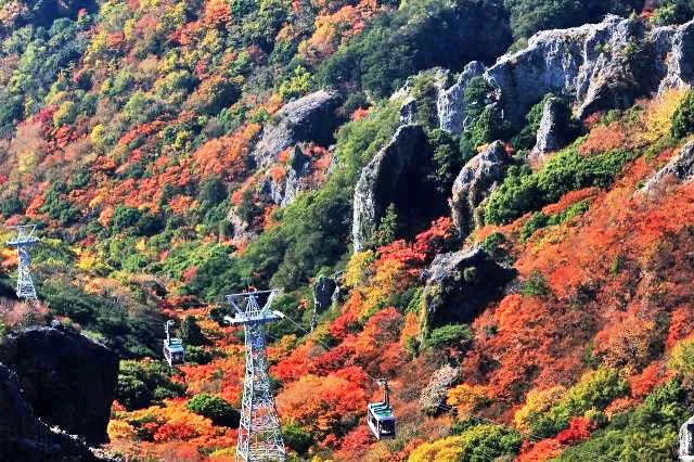 【紅葉・見ごろ】寒霞渓_1