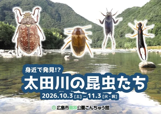 企画展「身近で発見!?太田川の昆虫たち_1