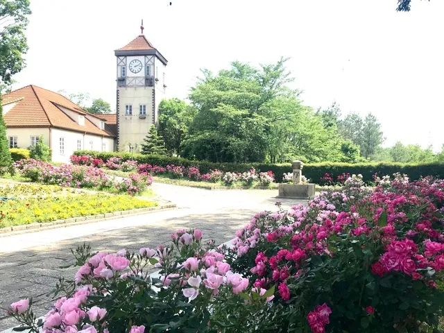 【花・見ごろ】滋賀農業公園ブルーメの丘　春バラ_1