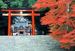 【紅葉・見ごろ】霧島神宮_1