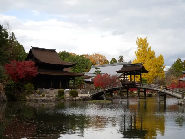 【紅葉・見ごろ】虎渓山永保寺_1