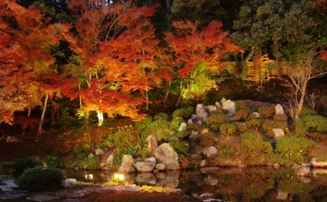 【紅葉・見ごろ】興禅寺_1