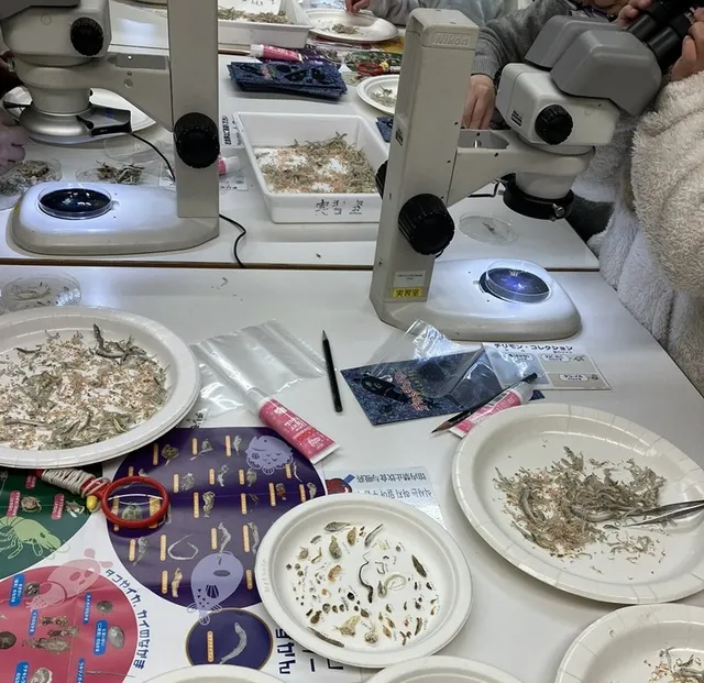 きしわだ自然資料館10月のミニ実習_1