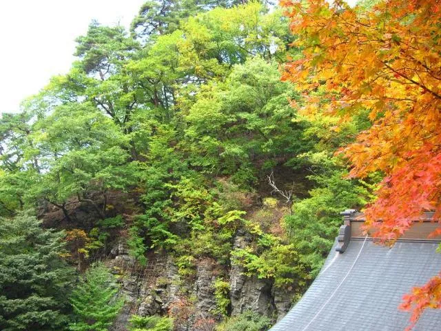 【紅葉・見ごろ】唐沢山・阿弥陀寺_1