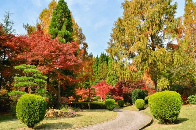 【紅葉・見ごろ】湧永満之記念庭園_1