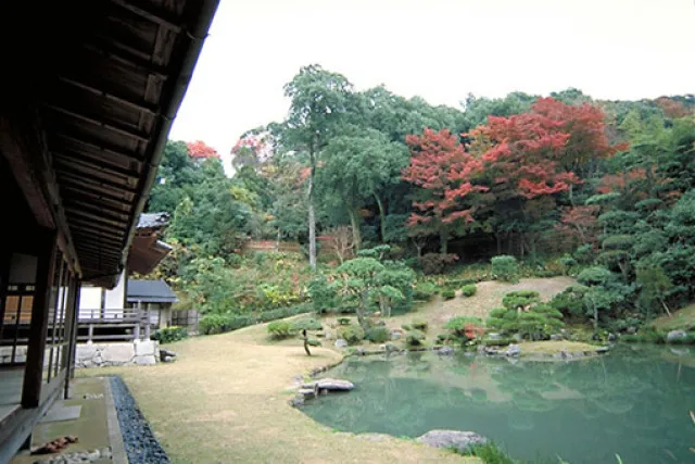 【紅葉・見ごろ】観音院庭園_1
