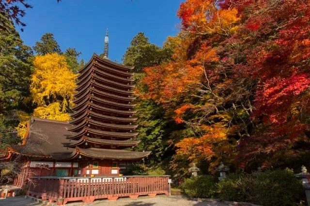 【紅葉・見ごろ】談山神社_1