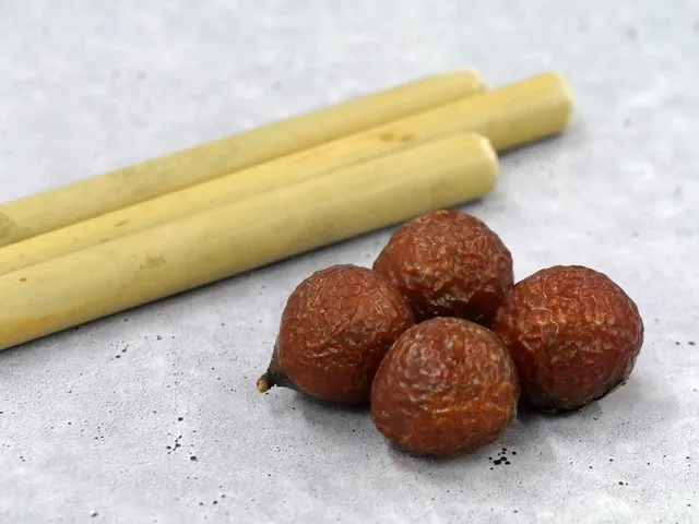 ワークショップ「江戸時代のシャボン玉を飛ばそう」_1