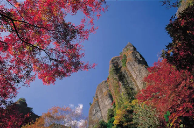 【紅葉・見ごろ】黒髪山（乳待坊公園）_1