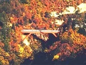 【紅葉・見ごろ】三途川渓谷_1