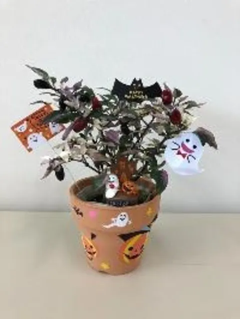 カラフルとうがらしのハロウィンポット作り_1