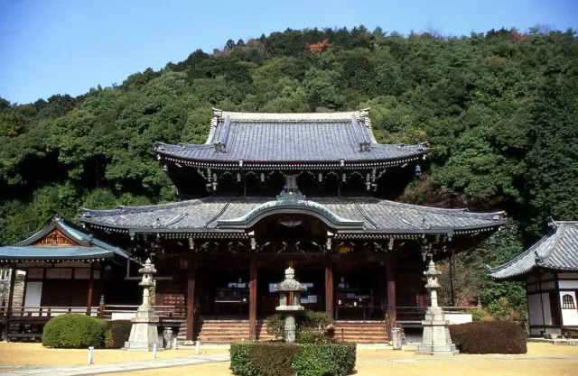 【紅葉・見ごろ】三室戸寺_1