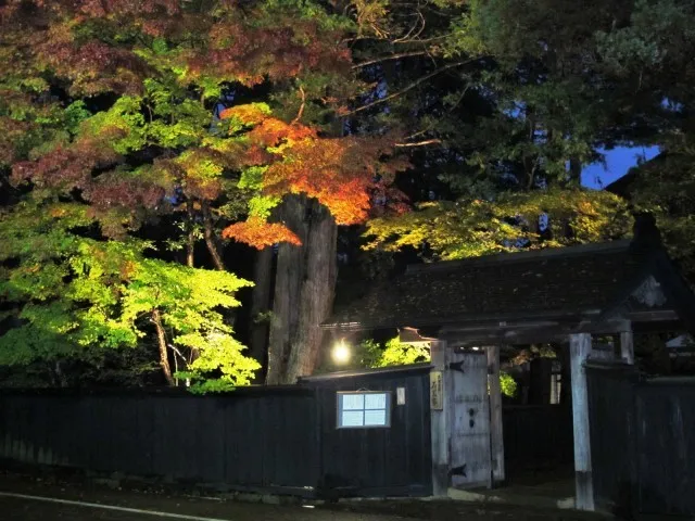 角館武家屋敷通り紅葉ライトアップ_1