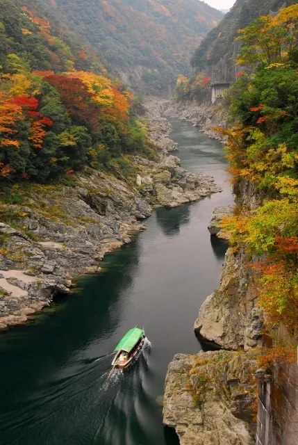 【紅葉・見ごろ】大歩危峡・小歩危峡_1