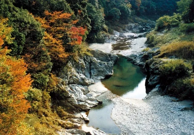 【紅葉・見ごろ】奥香肌峡・宮の谷渓谷_1