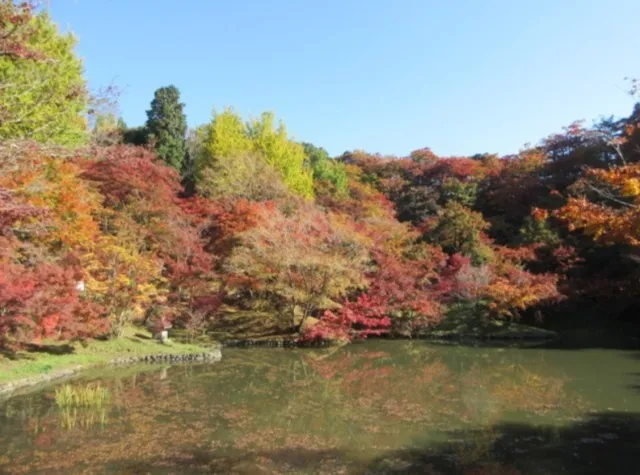 【紅葉・見ごろ】用作公園_1