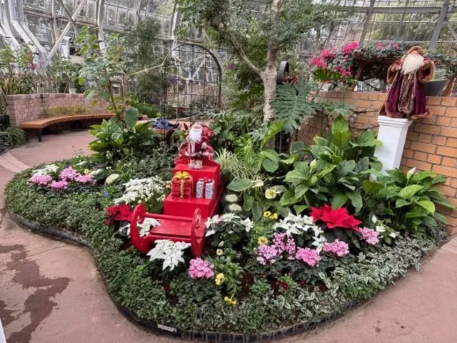 花の展示温室 　クリスマスガーデン_1