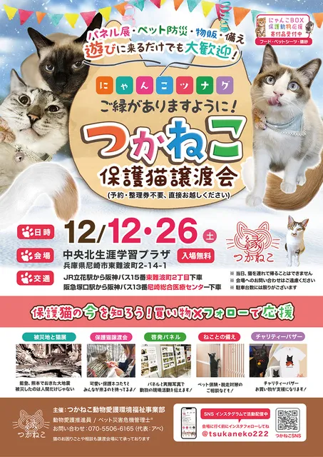 つかねこ譲渡会＆パネル展・チャリティーグッズ販売_1