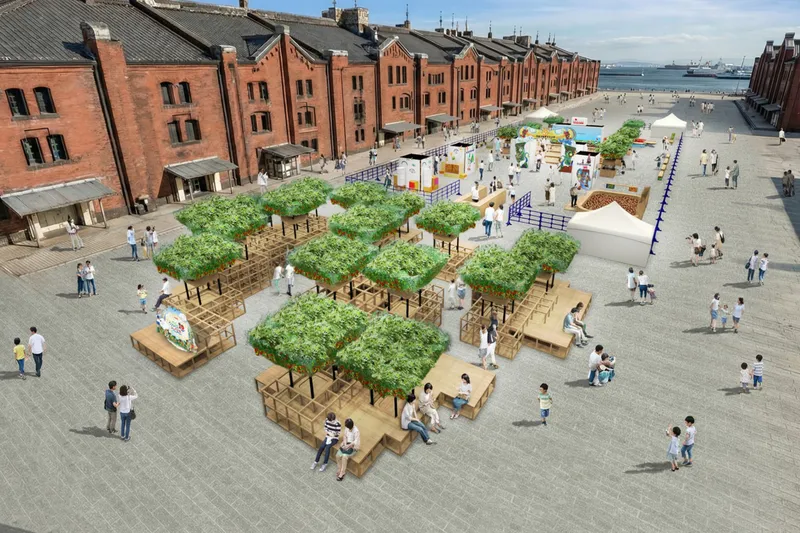 不思議の畑とトマトの樹