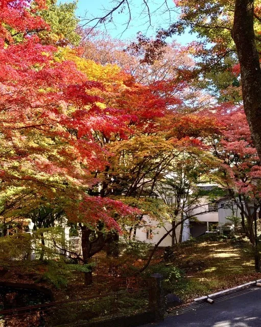 【紅葉・見ごろ】大正ロマンの森　竹久夢二伊香保記念館_1