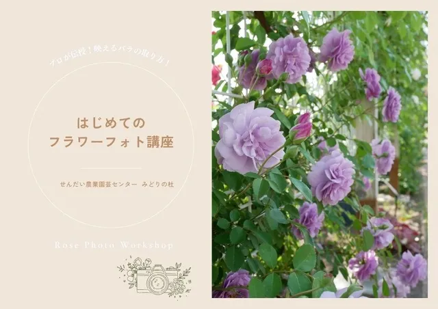 庭園で楽しむ！初心者向けフラワーフォト講座