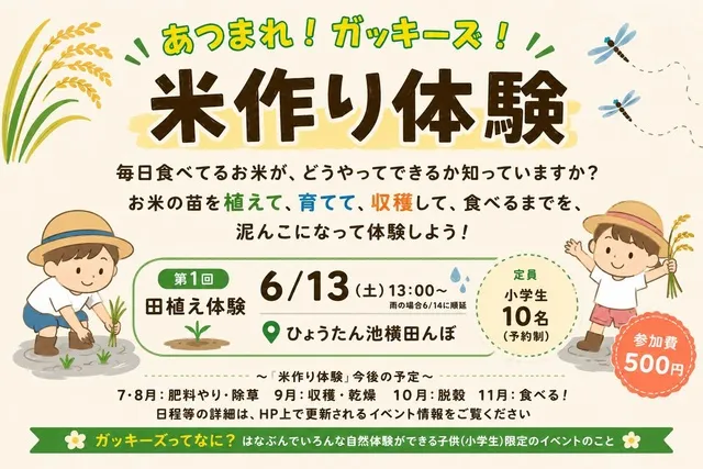 あつまれ！ガッキーズ！米作り体験_1