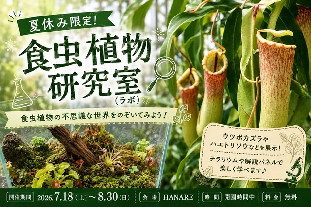 食虫植物研究室（ラボ）_1