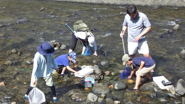 探してみよう！水辺の生き物 in 栗栖川_1