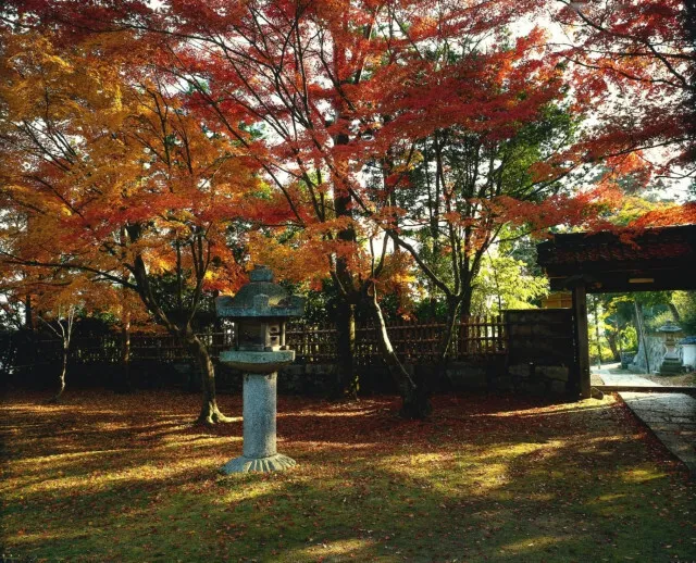 【紅葉・見ごろ】慈眼堂_1