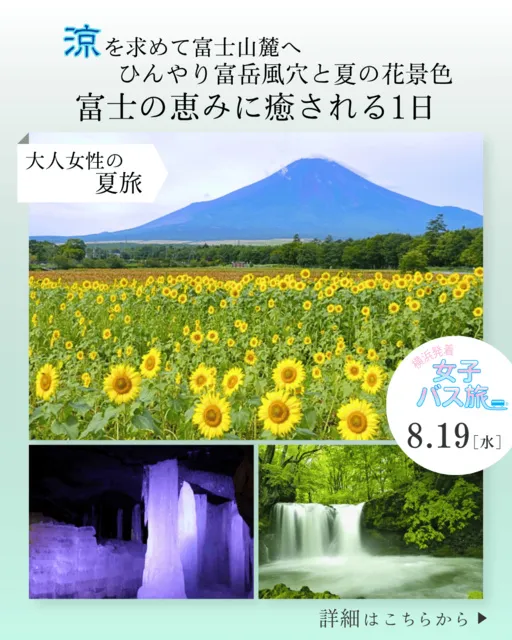 大人女性の夏旅 涼を求めて富士山麓へ ひんやり富岳風穴と夏の花景色 富士の恵みに癒される1日_1