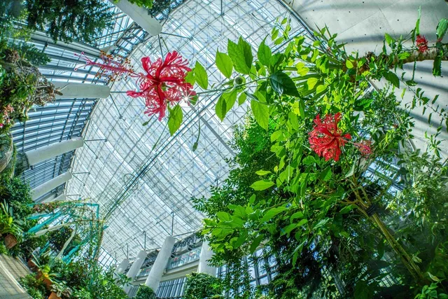 玉田尚之フォトセミナー『脱・いつもの写真！花の写真のマンネリを撃退する「一工夫」講座』_1
