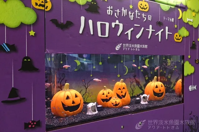 テーマ水槽『おさかなたちのハロウィンナイト』_1