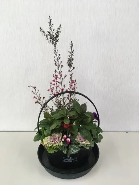 山野草の寄せ植え教室（12月）_1