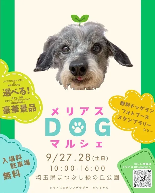 メリアスdogマルシェin埼玉県営まつぶし緑の丘公園_1