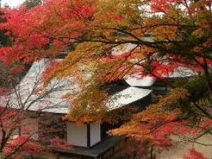 【紅葉・見ごろ】高雄山神護寺_1
