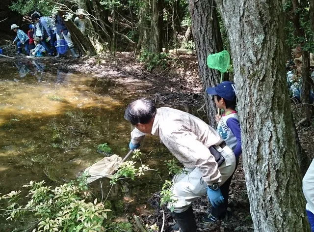 広島市森林公園　モリアオガエル観察会_1