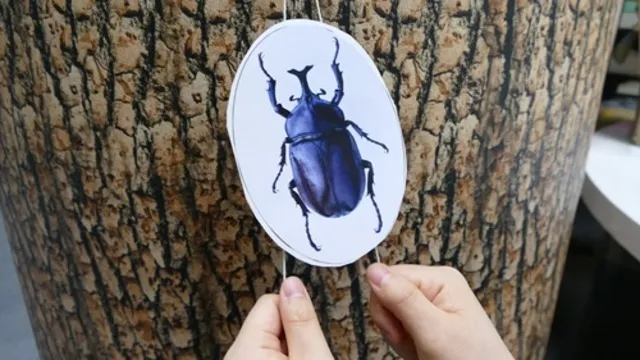 る・く・るワークショップ「のぼる昆虫おもちゃ」_1